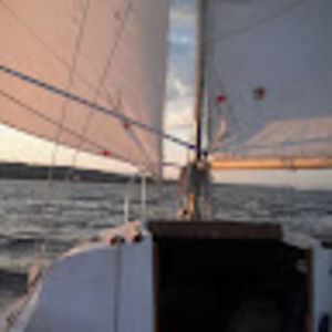 Meet your Posher, William